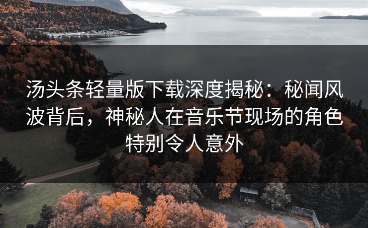 汤头条轻量版下载深度揭秘：秘闻风波背后，神秘人在音乐节现场的角色特别令人意外